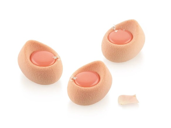 Silikomart Nebula 30 Monoportion Silicone Mould